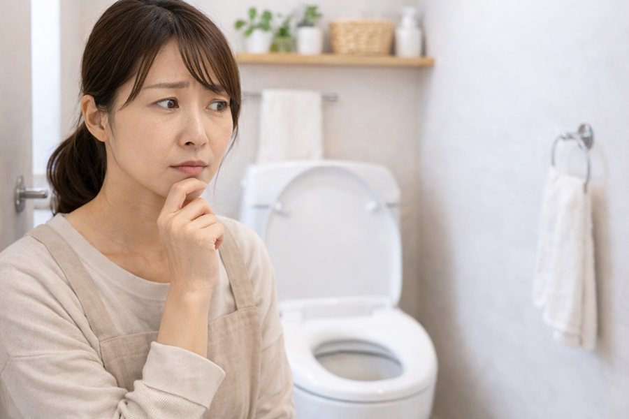 トイレのルック生産終了の理由